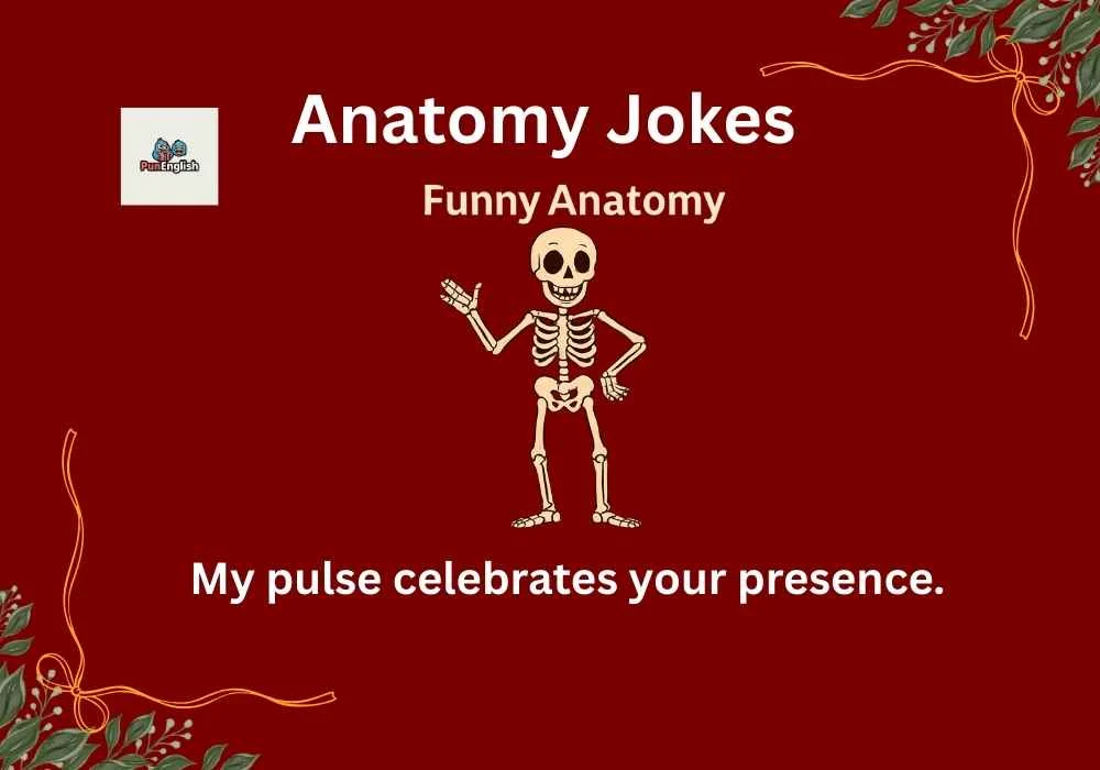 Anatomy Jokes