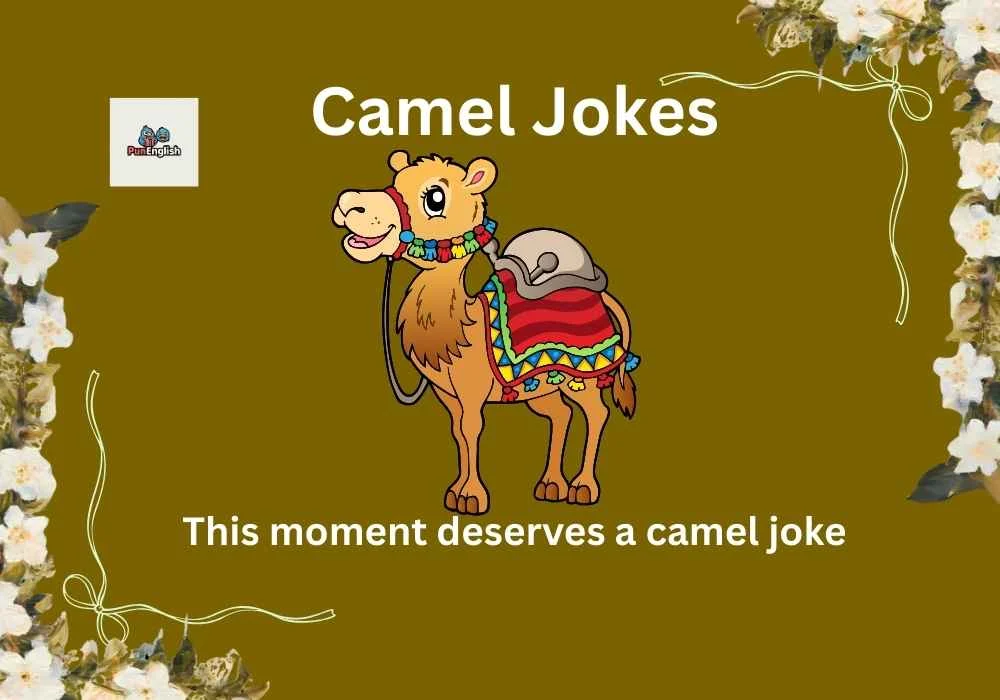 Camel Jokes