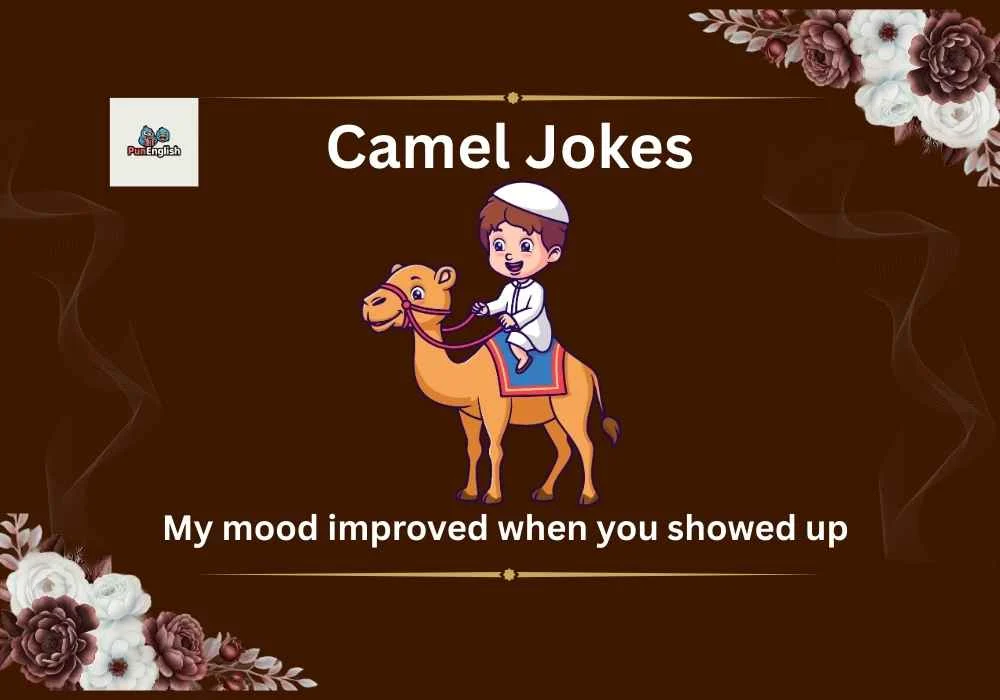 Camel Jokes