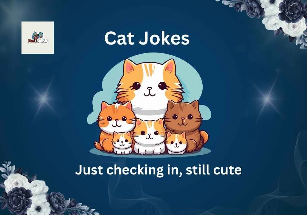 Cat Jokes