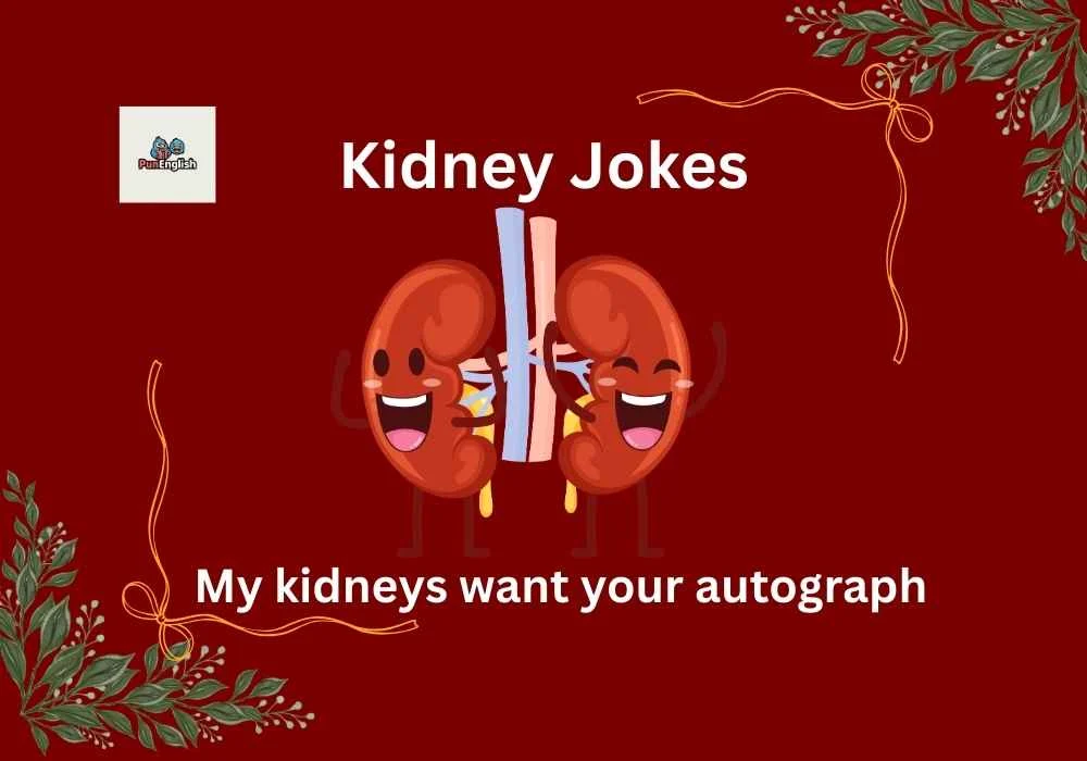 Kidney Jokes