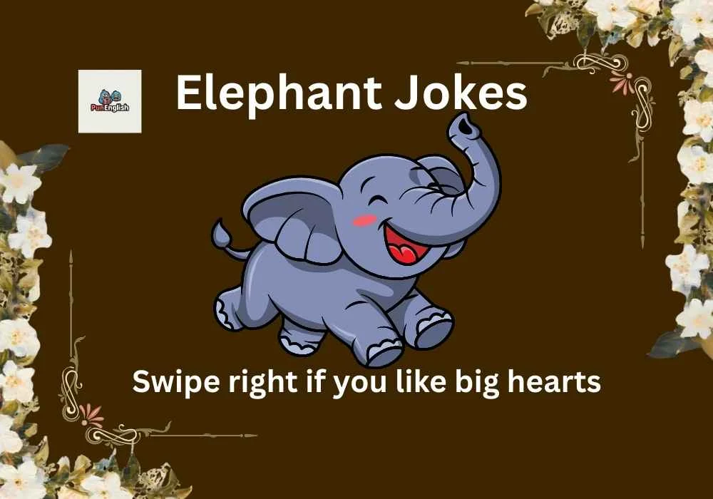 Elephant Jokes