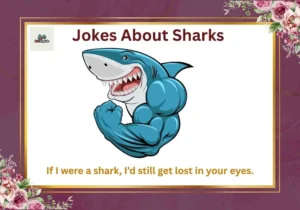 Jokes About Sharks
