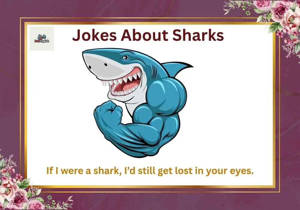 Jokes About Sharks