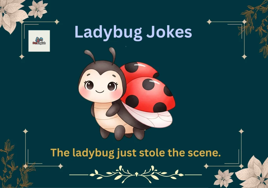 Ladybug Jokes