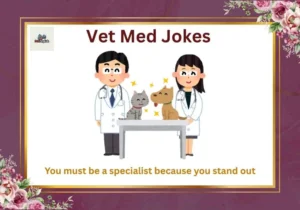 Vet Med Jokes