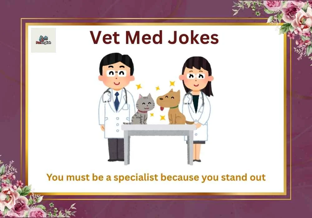 Vet Med Jokes